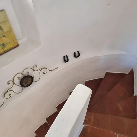 Mari E Monti